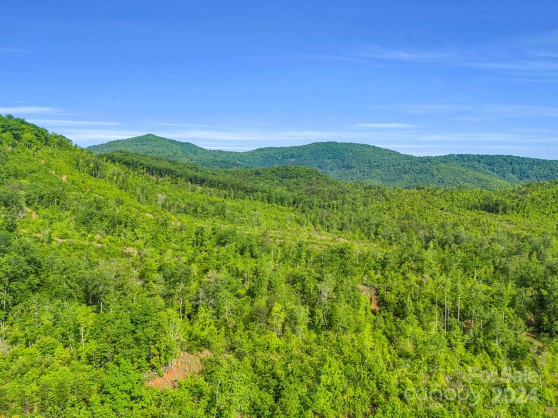 Bills Creek Rd, Lake Lure, NC 28746