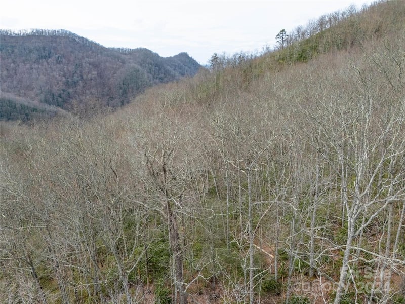 Lot 111 Cranberry Creek Rd, Maggie Valley, NC 28751