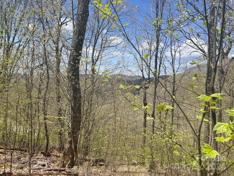 000 El Miner Dr #515, Mars Hill, NC 28754