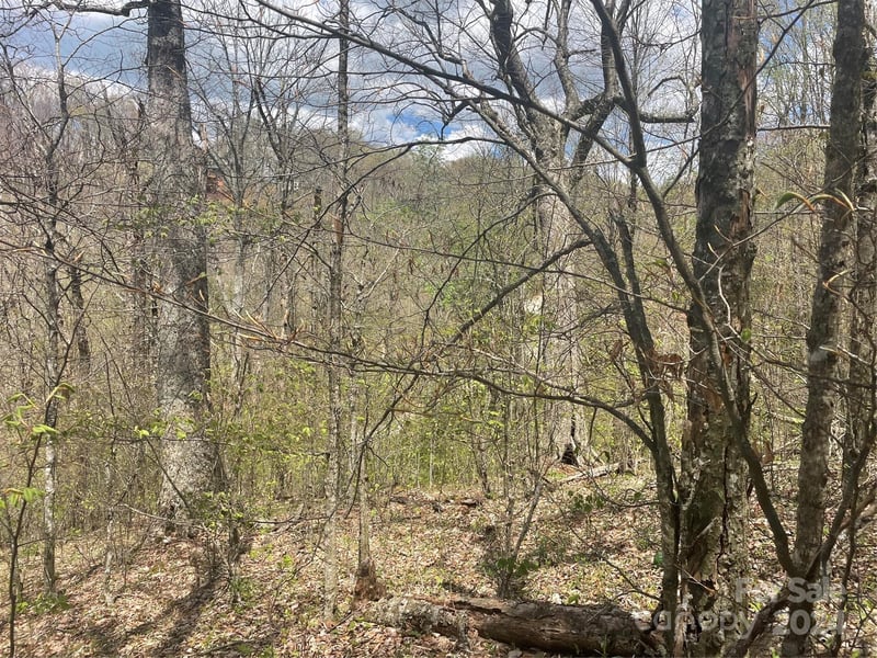 000 El Miner Dr #515, Mars Hill, NC 28754