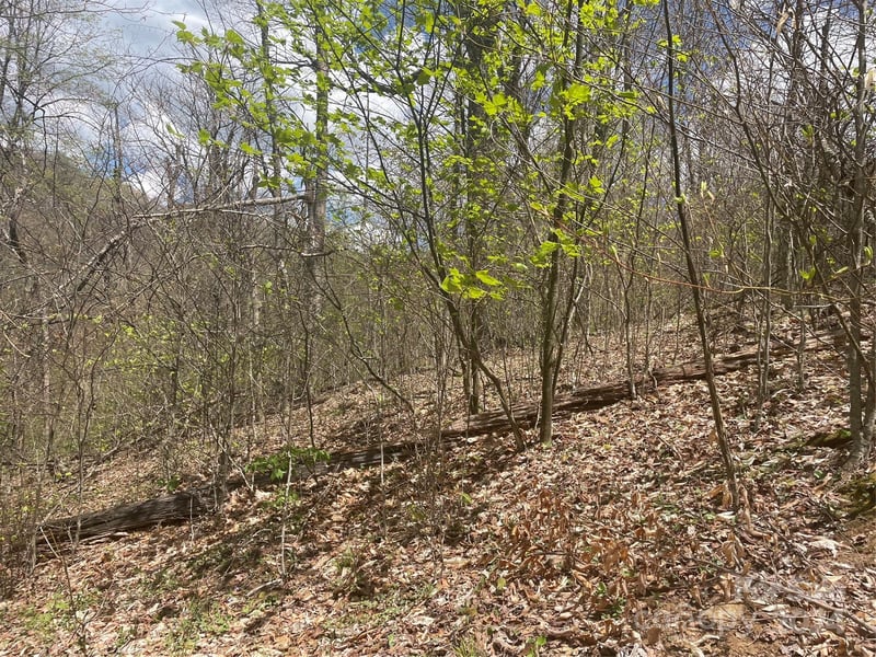 000 El Miner Dr #516, Mars Hill, NC 28754