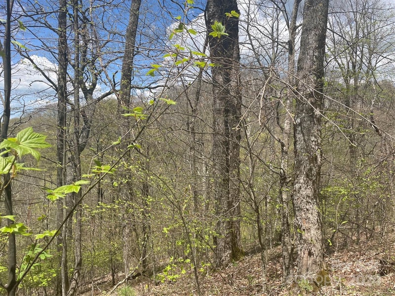 000 El Miner Dr #516, Mars Hill, NC 28754