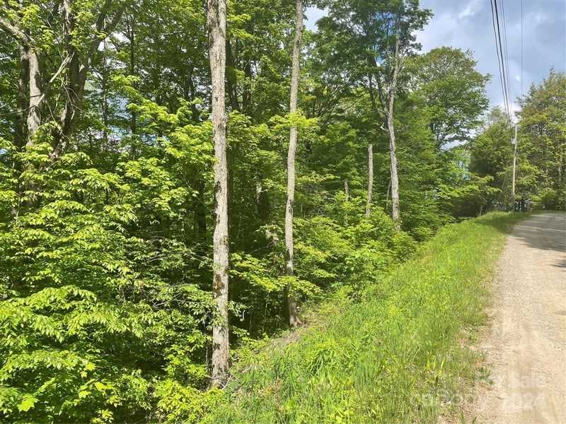 000 El Miner Dr #577, Mars Hill, NC 28754