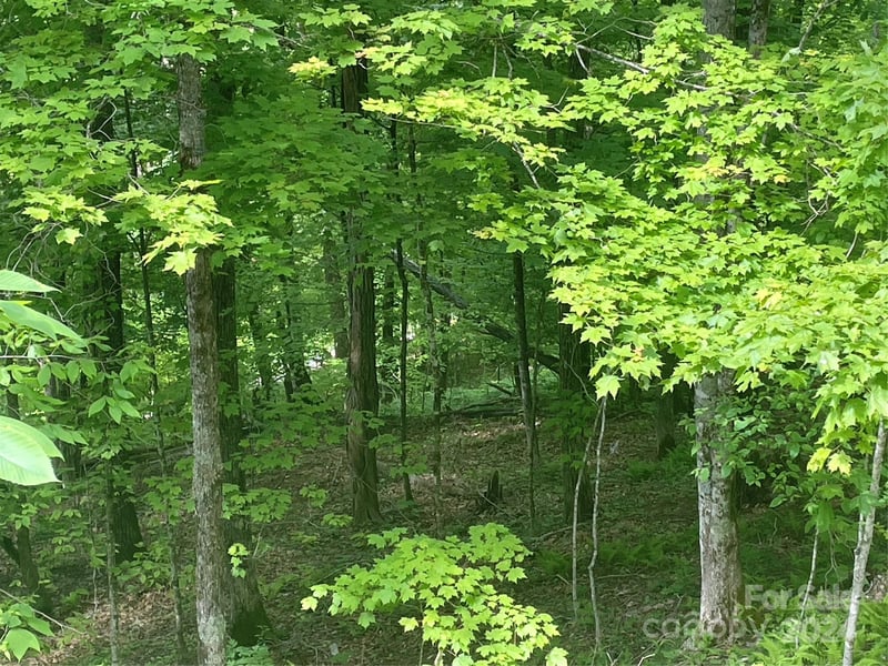 000 El Miner Dr #577, Mars Hill, NC 28754