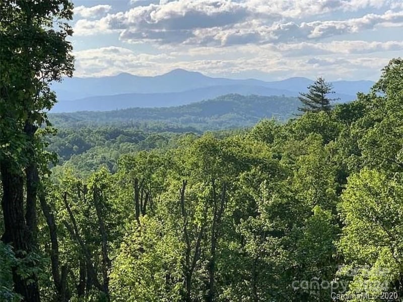 185 Crossvine Trl, Hendersonville, NC 28739