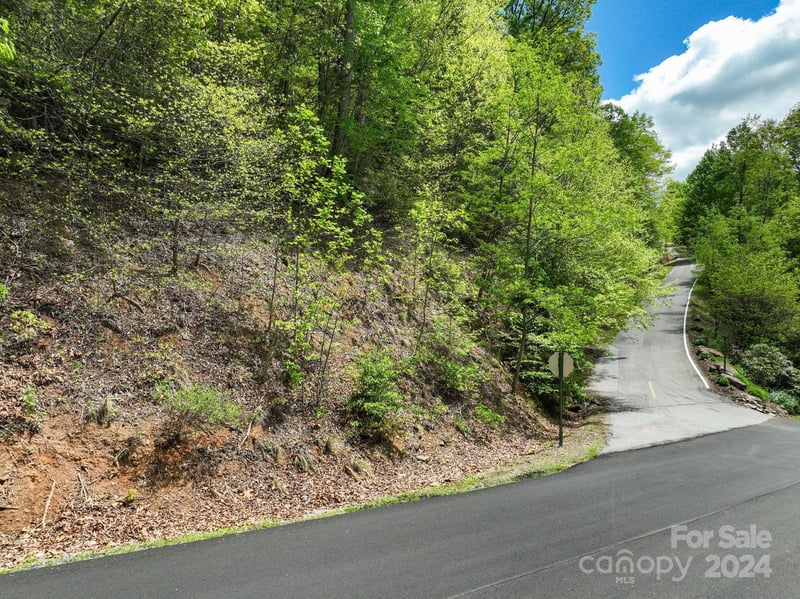 99999 Winding Poplar Rd #909, Black Mountain, NC 28711