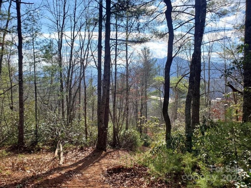 00 Elkins Rd #20, Bakersville, NC 28705