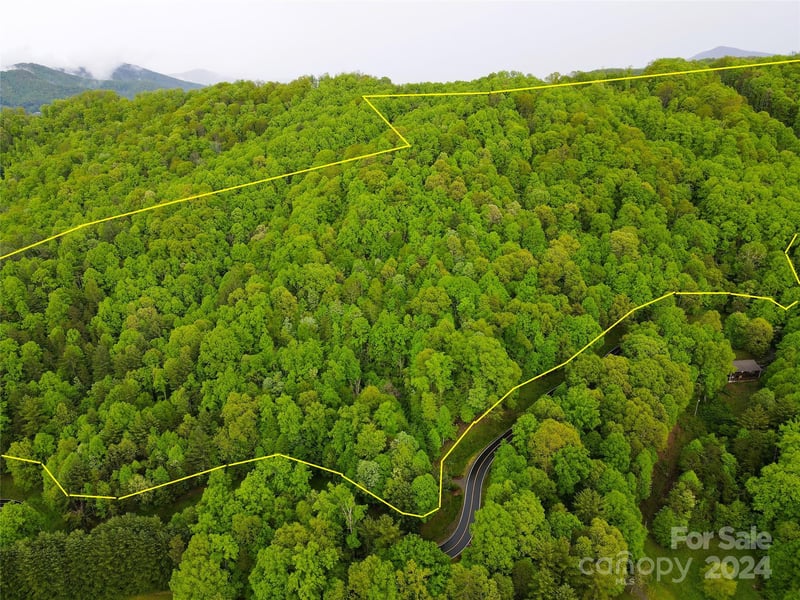 000 Mountain Air Dr, Burnsville, NC 28714