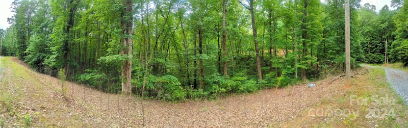 00 Jones Ct LOT 552, Lake Lure, NC 28746