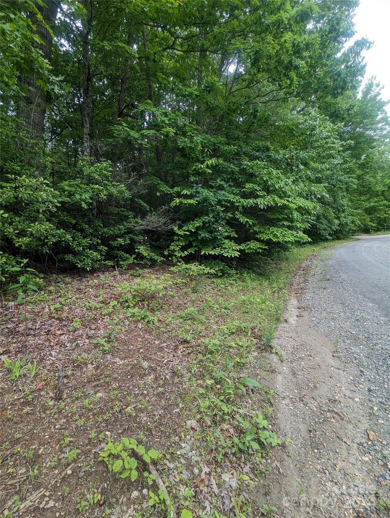 00 Jones Ct LOT 552, Lake Lure, NC 28746