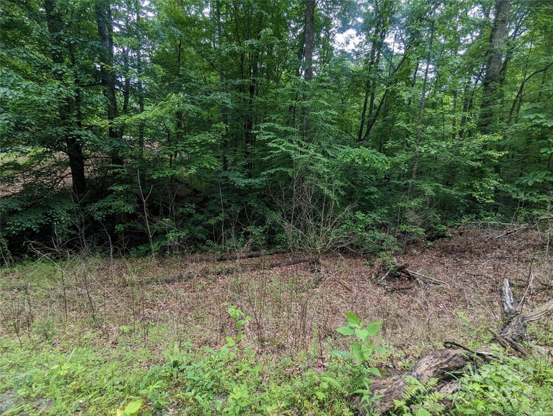00 Jones Ct LOT 552, Lake Lure, NC 28746