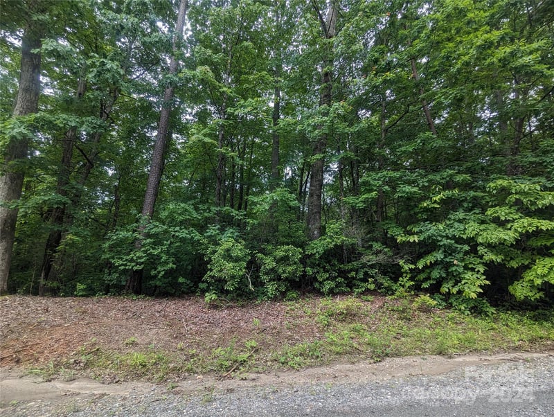 00 Jones Ct LOT 552, Lake Lure, NC 28746