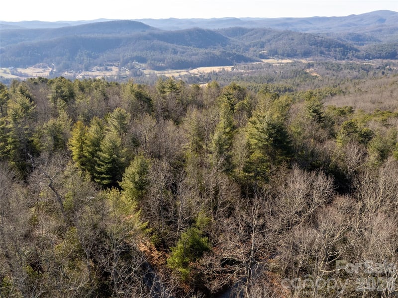 72 Emma Bri Ln, Penrose, NC 28766