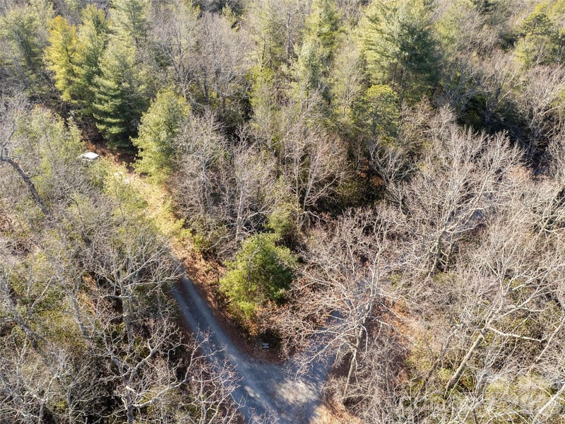 72 Emma Bri Ln, Penrose, NC 28766