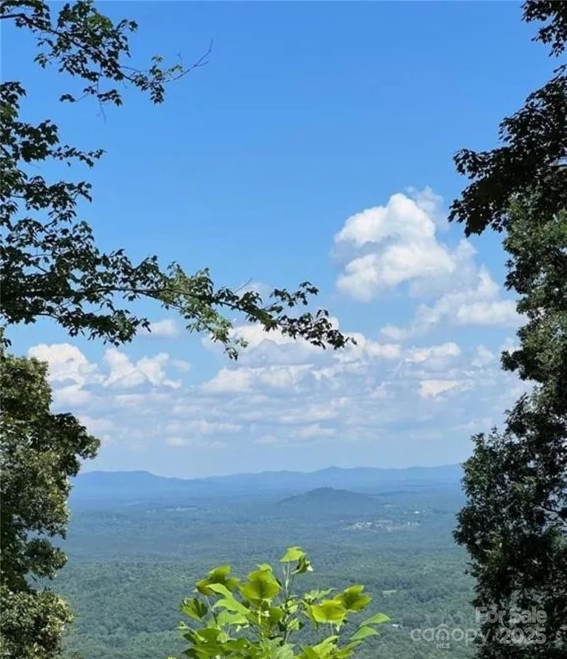 00 Hickory Nut Ln #390, Lake Lure, NC 28746