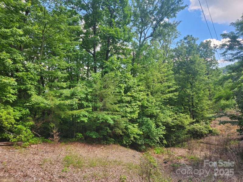 00 Hickory Nut Ln #390, Lake Lure, NC 28746