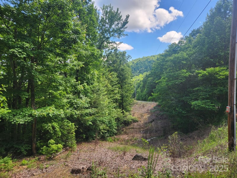 00 Hickory Nut Ln #390, Lake Lure, NC 28746