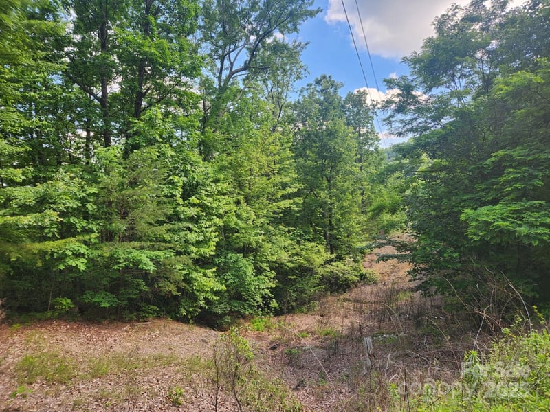 00 Hickory Nut Ln #390, Lake Lure, NC 28746