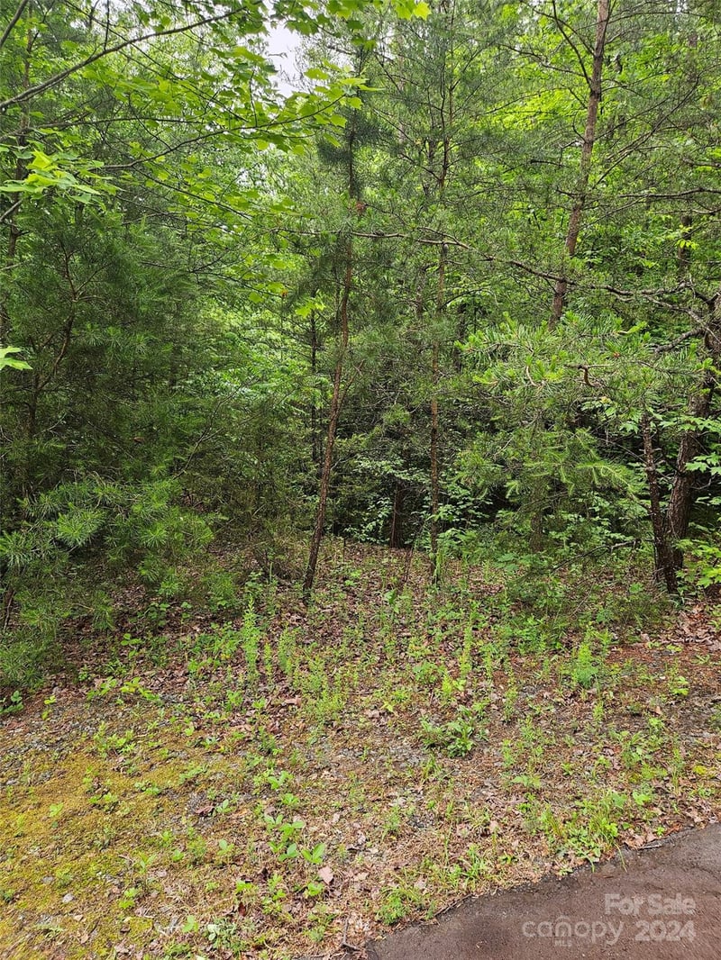 00 Brookside Pw #24, Lake Lure, NC 28746