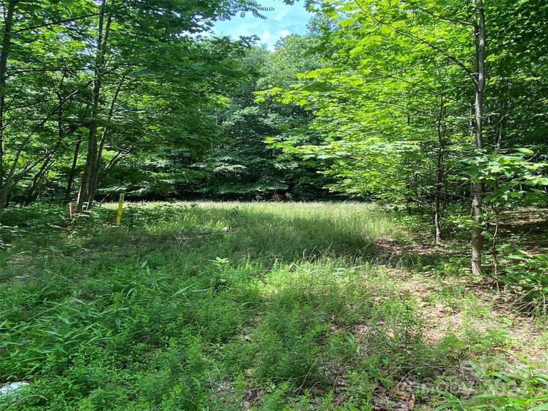 199 Cherry Hill None, Mill Spring, NC 28756