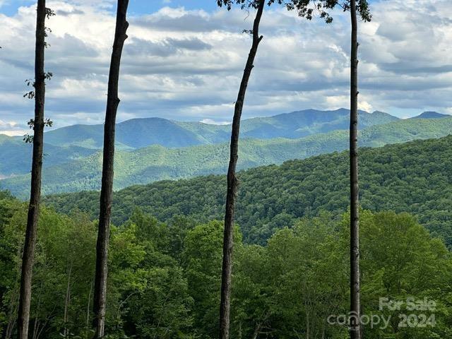 Lot 284 Running Deer Trl, Waynesville, NC 28786
