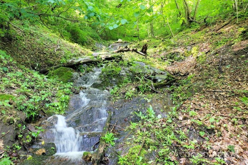 Lot 284 Running Deer Trl, Waynesville, NC 28786