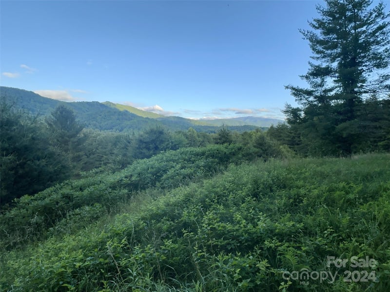 Lot 22 Dream Valley Dr, Clyde, NC 28721