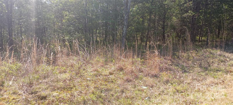 TBD Biggerstaff Loop lot 21, Nebo, NC 28761