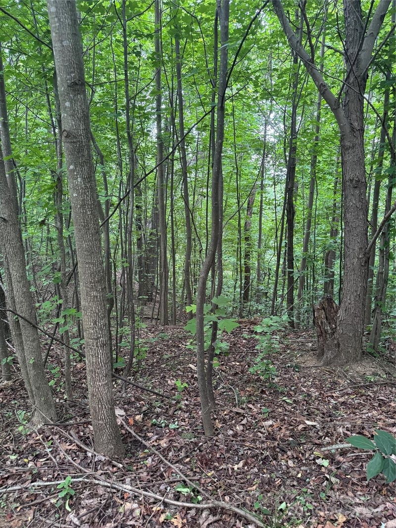 Holland Dr #18, Columbus, NC 28722