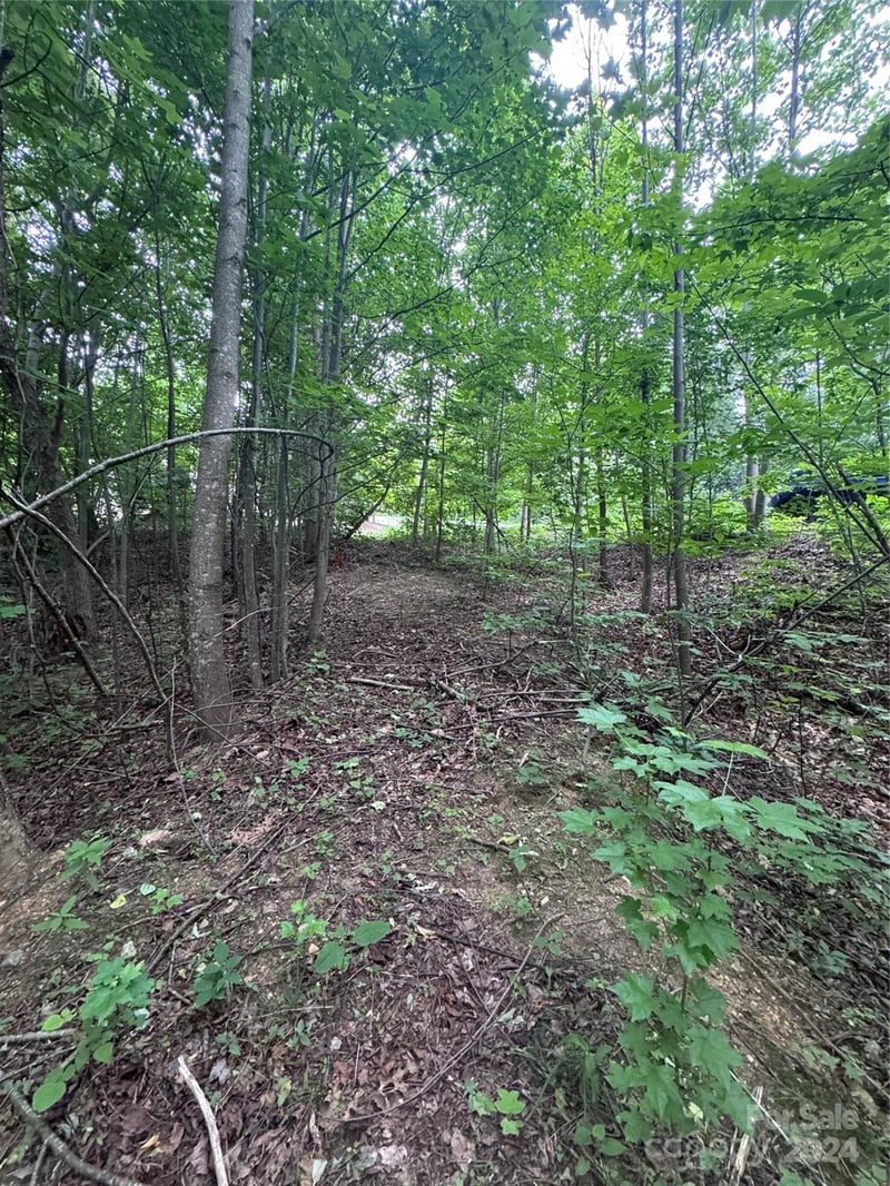 Holland Dr #18, Columbus, NC 28722