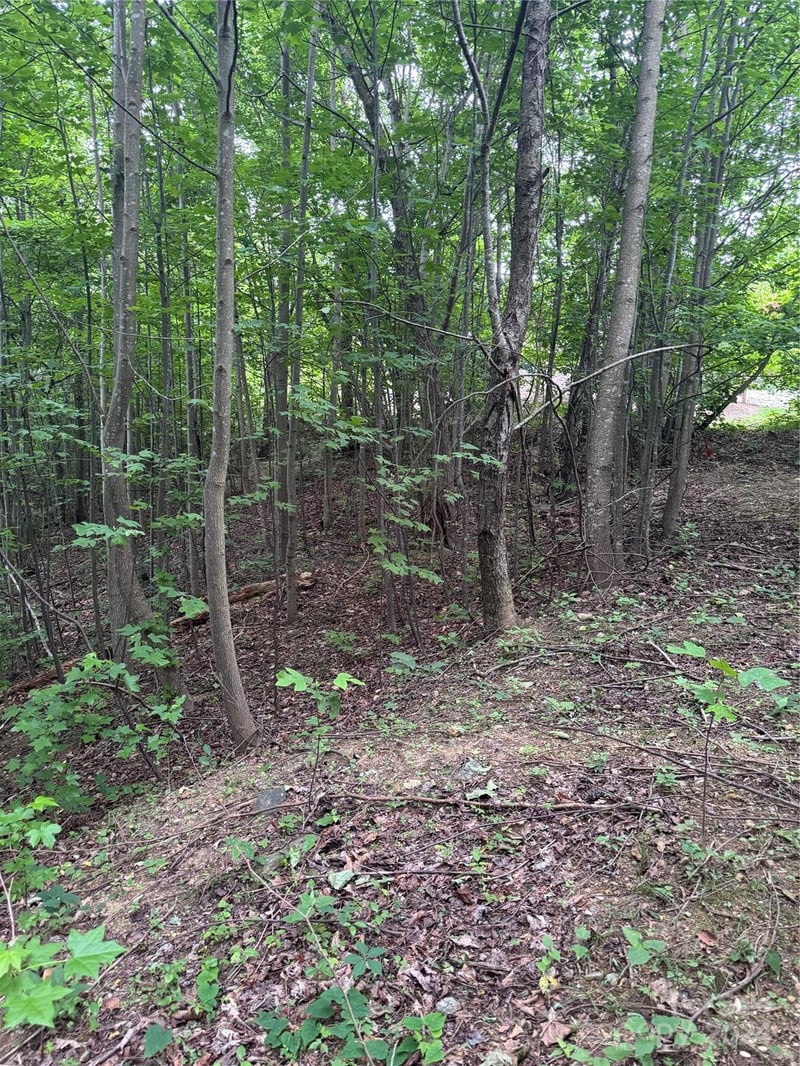 Holland Dr #18, Columbus, NC 28722