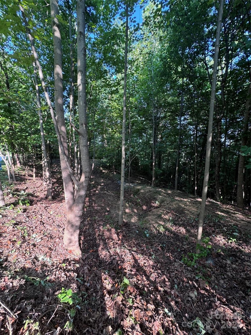 Holland Dr #18, Columbus, NC 28722