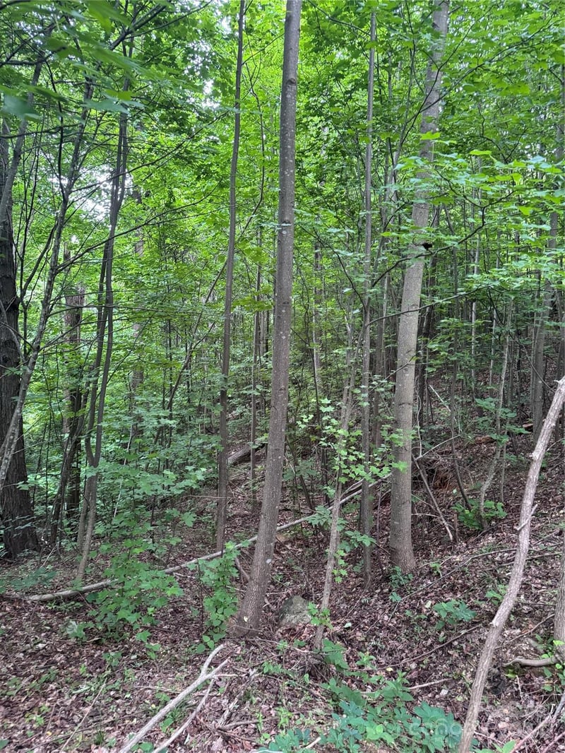Holland Dr #18, Columbus, NC 28722