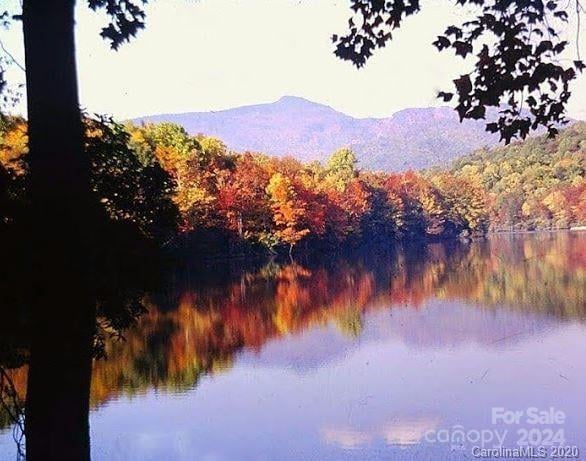 9999 Misty Mountain Dr #32, Nebo, NC 28761