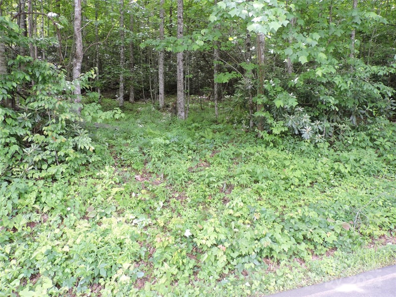 00 South Toe River Rd lot 3, Burnsville, NC 28714