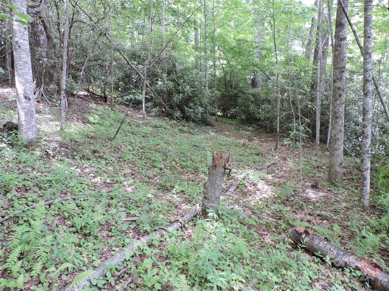 00 South Toe River Rd lot 3, Burnsville, NC 28714