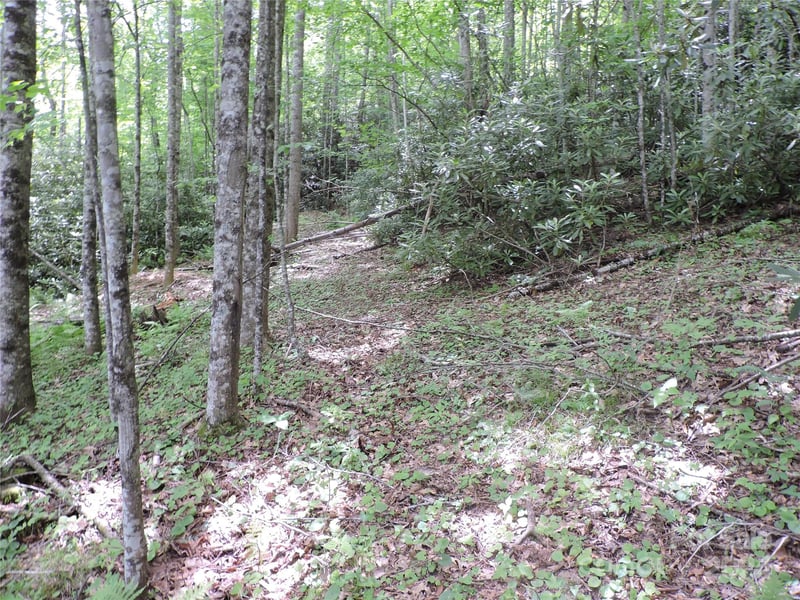 00 South Toe River Rd lot 2, Burnsville, NC 28714