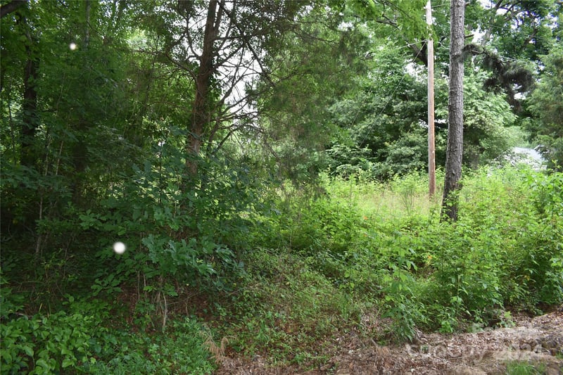 1690 Roseland Dr, Lincolnton, NC 28092