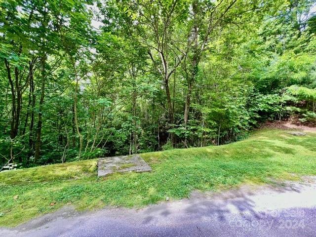 271 Mountain Morning Ln #41, Hendersonville, NC 28739
