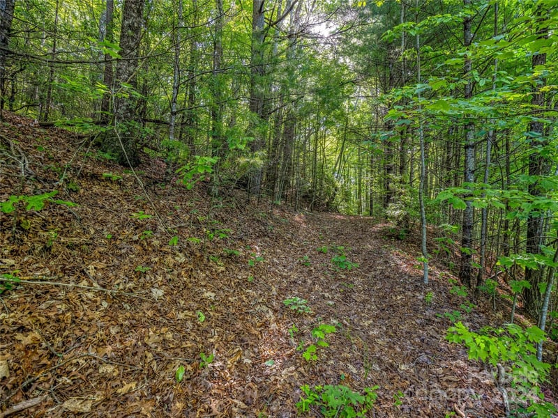Hawk Mountain Rd, Lake Toxaway, NC 28747