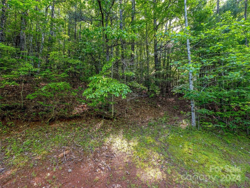 Hawk Mountain Rd, Lake Toxaway, NC 28747