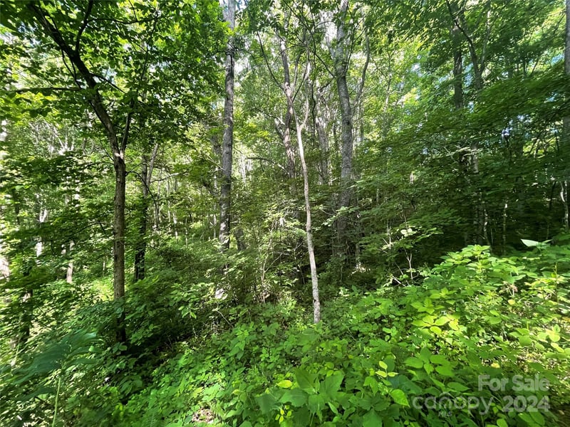TBD Mountain Glen Rd, Canton, NC 28716