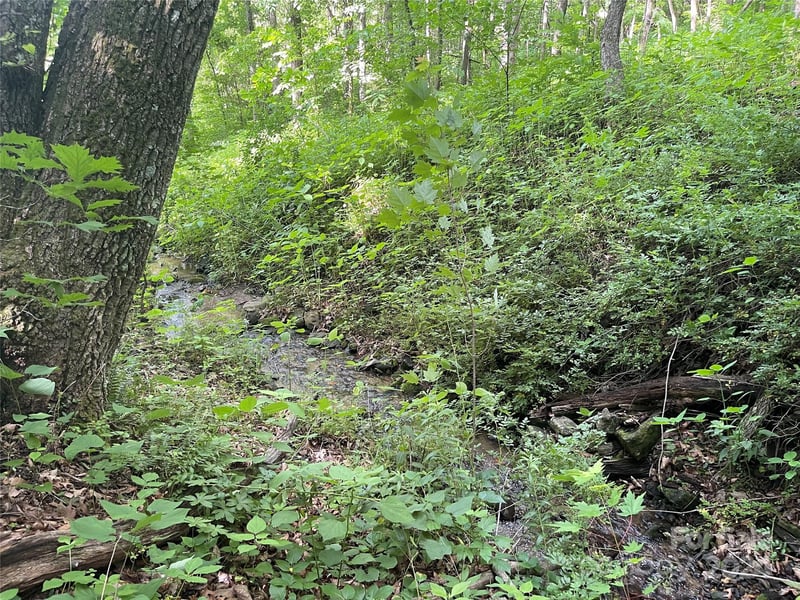 TBD Mountain Glen Rd, Canton, NC 28716