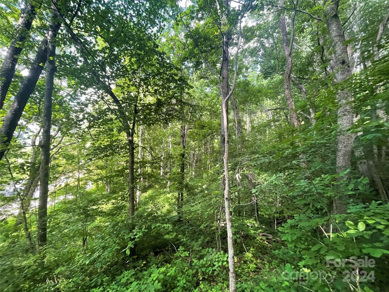 TBD Mountain Glen Rd, Canton, NC 28716