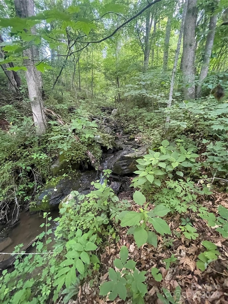 TBD Mountain Glen Rd, Canton, NC 28716