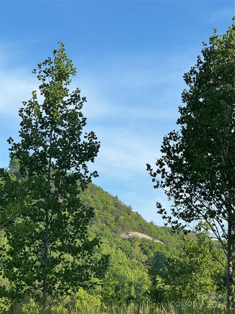 Waterfall Ridge Dr #8, Hendersonville, NC 28792