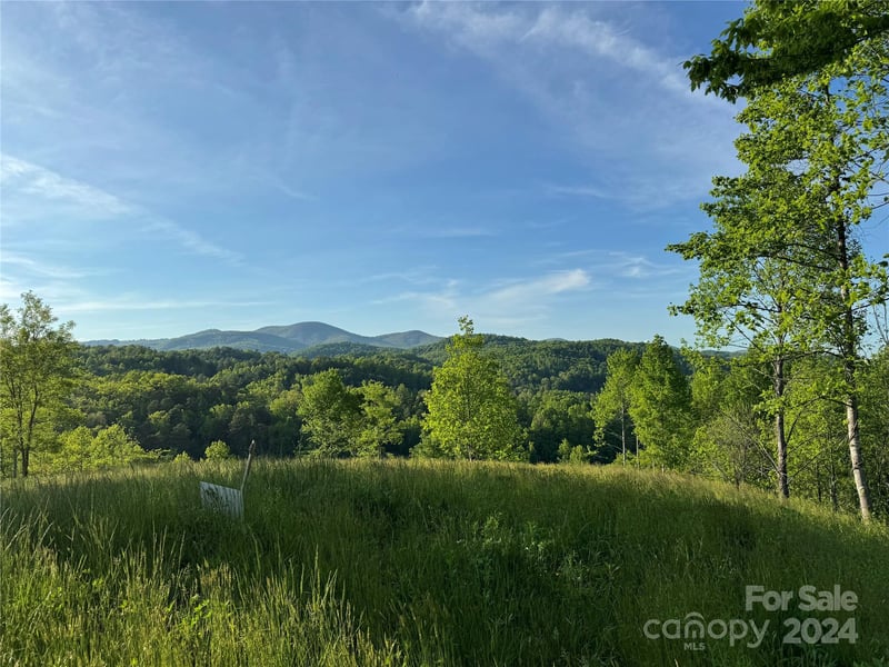 Waterfall Ridge Dr #8, Hendersonville, NC 28792