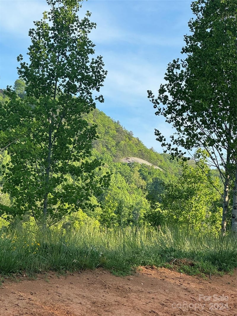 0 Waterfall Ridge Dr #8, Hendersonville, NC 28792