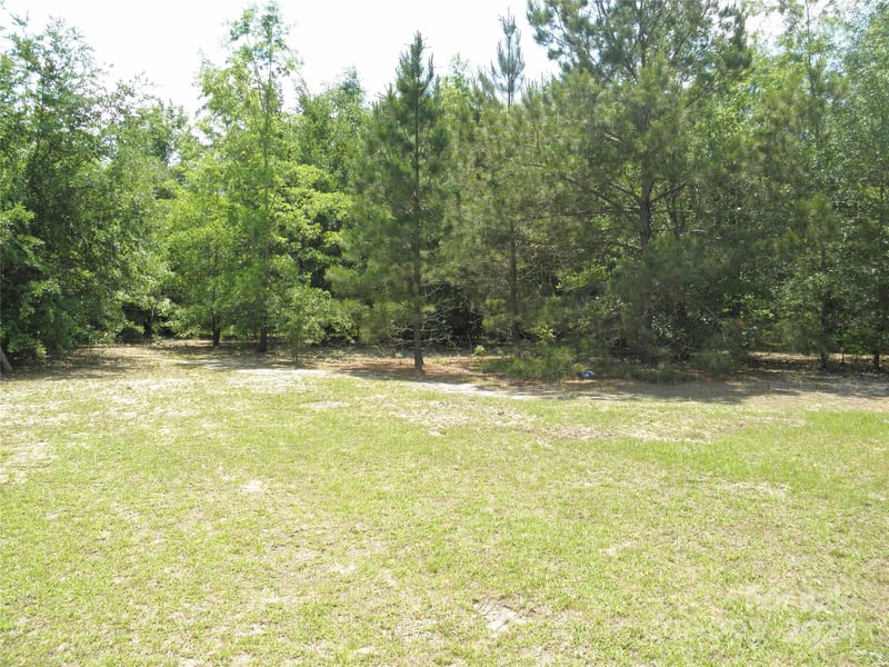 TBD Chesterfield Hw, Cheraw, SC 29520