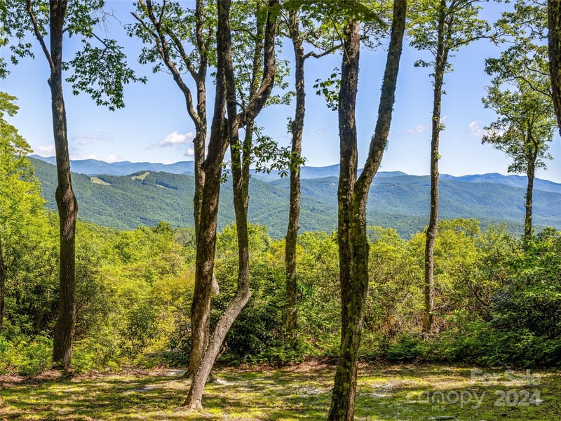 PS 3 Panther Summit Dr, Lake Toxaway, NC 28747
